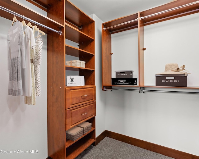 spacious closet with carpet floors