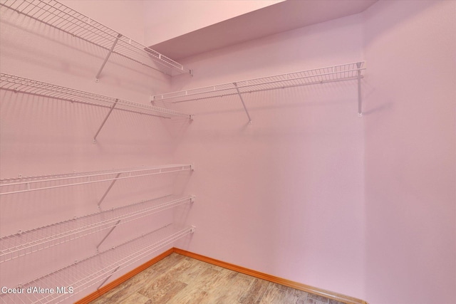 spacious closet with wood-type flooring