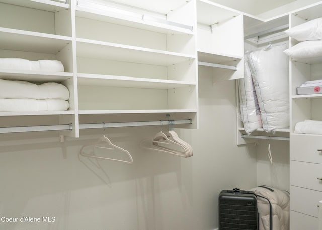 view of spacious closet