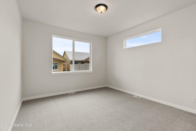 empty room with carpet flooring and plenty of natural light