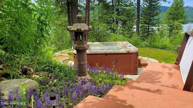 view of yard with a hot tub