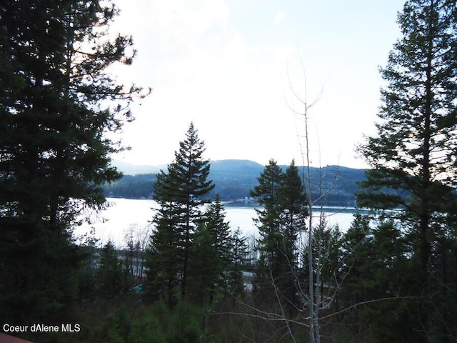 water view featuring a mountain view