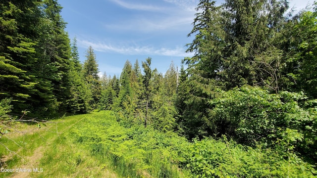 NKA Trout Pond, Athol ID, 83801 land for sale