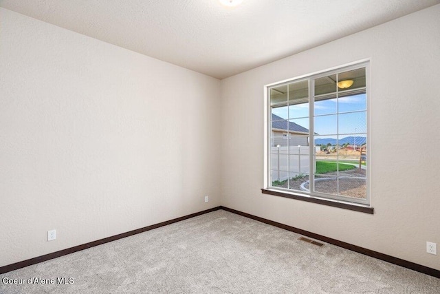 spare room with carpet flooring