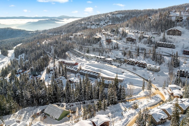 snowy aerial view with a mountain view