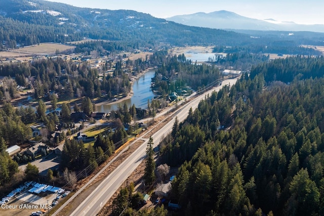 birds eye view of property with a mountain view