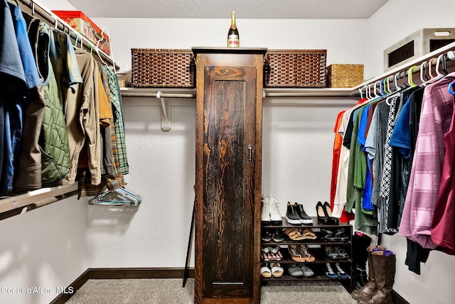 view of walk in closet