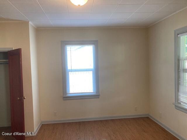 empty room featuring light wood-type flooring, a healthy amount of sunlight, and ornamental molding