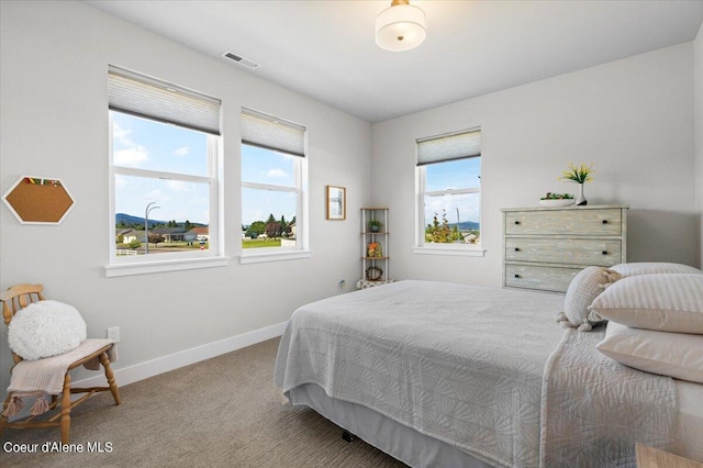 bedroom with carpet floors