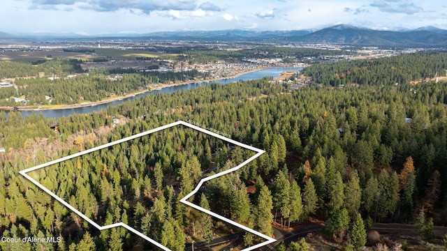 birds eye view of property with a water and mountain view