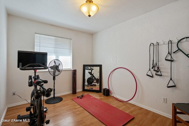 exercise room featuring hardwood / wood-style floors