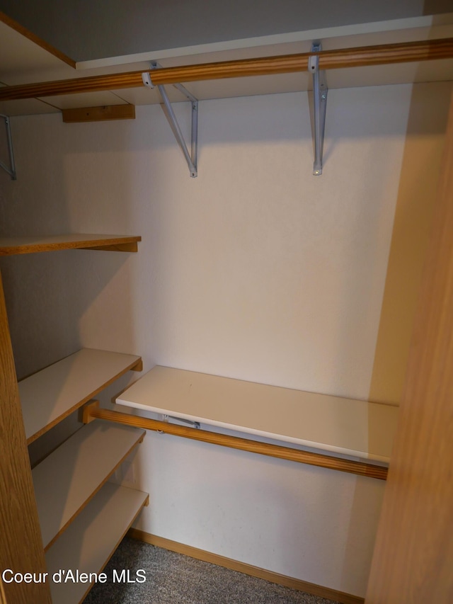 spacious closet with carpet floors