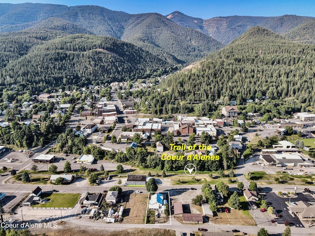 birds eye view of property featuring a mountain view