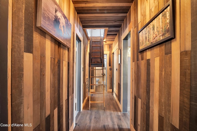 hallway with dark wood-type flooring, wooden ceiling, and wood walls