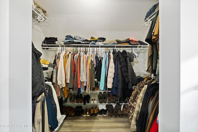 spacious closet with wood-type flooring