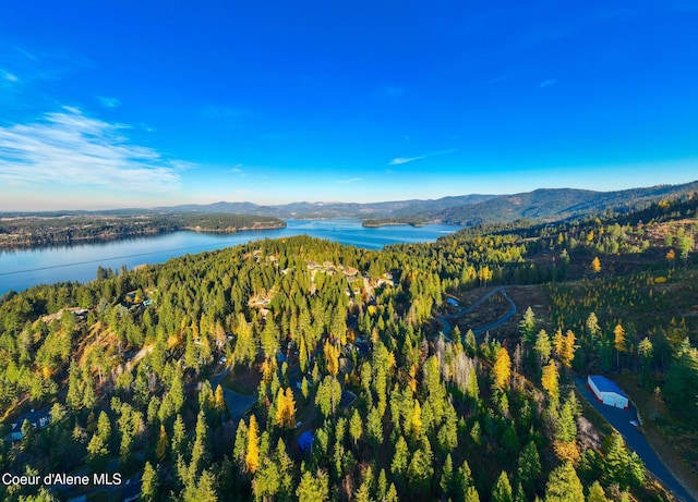 birds eye view of property featuring a water and mountain view