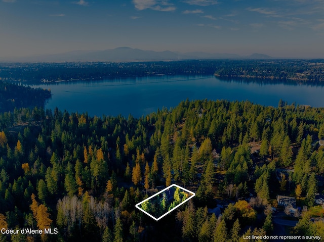 birds eye view of property featuring a water and mountain view