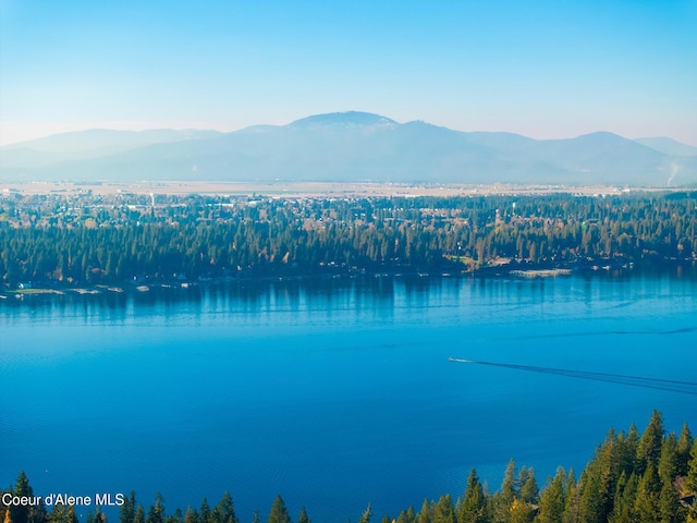 property view of water featuring a mountain view