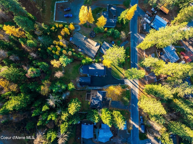 drone / aerial view