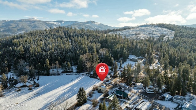 snowy aerial view featuring a mountain view