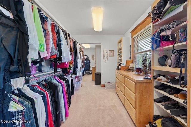 walk in closet with light colored carpet