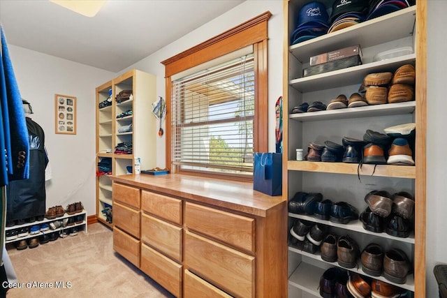 spacious closet with light colored carpet