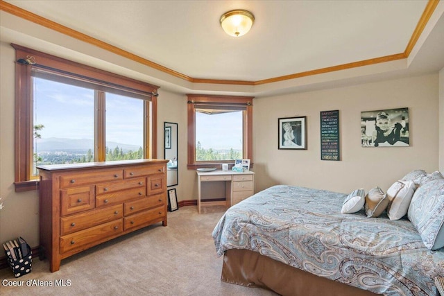 carpeted bedroom with a raised ceiling and crown molding