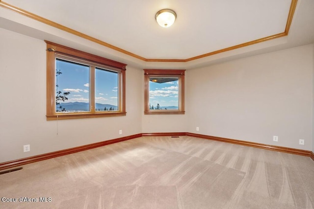spare room with a raised ceiling, baseboards, visible vents, and carpet