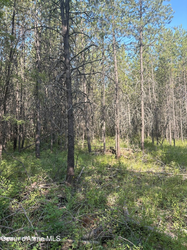 NNA Spirit Lake Cutoff Rd, Spirit Lake ID 83869 LAND for sale