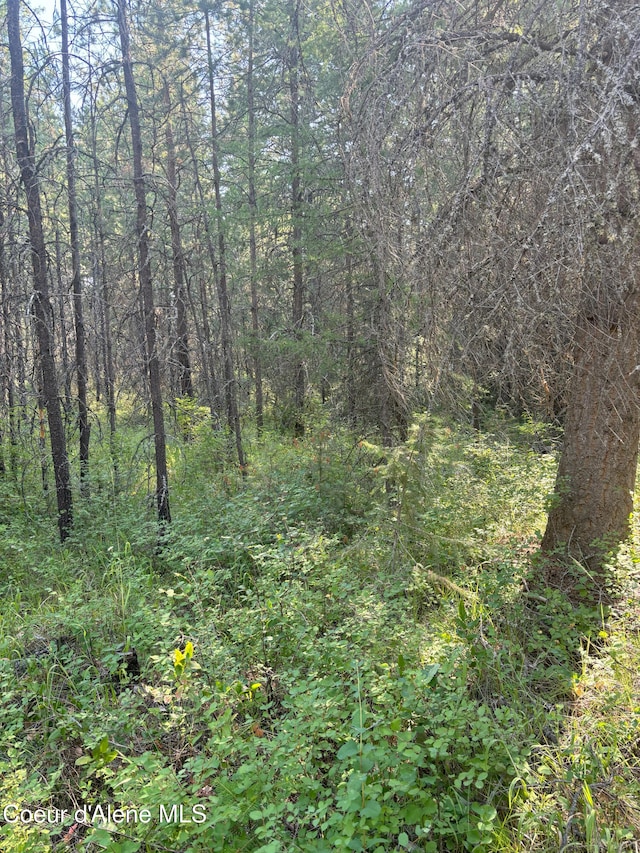 Listing photo 2 for NNA Spirit Lake Cutoff Rd, Spirit Lake ID 83869