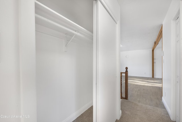 spacious closet featuring carpet flooring