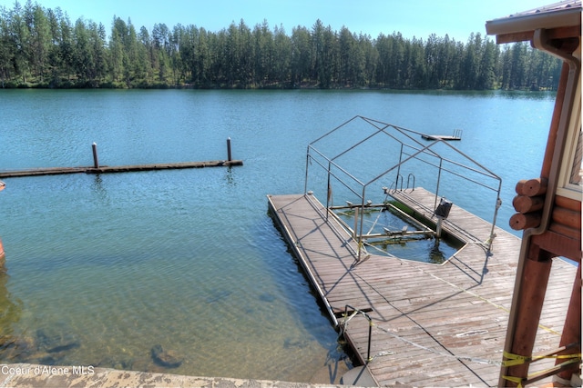 dock area featuring a water view