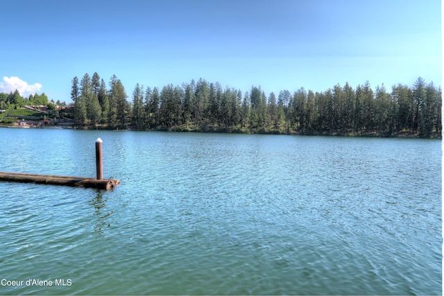 property view of water with a boat dock