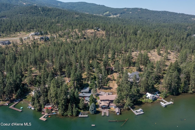 bird's eye view with a water and mountain view