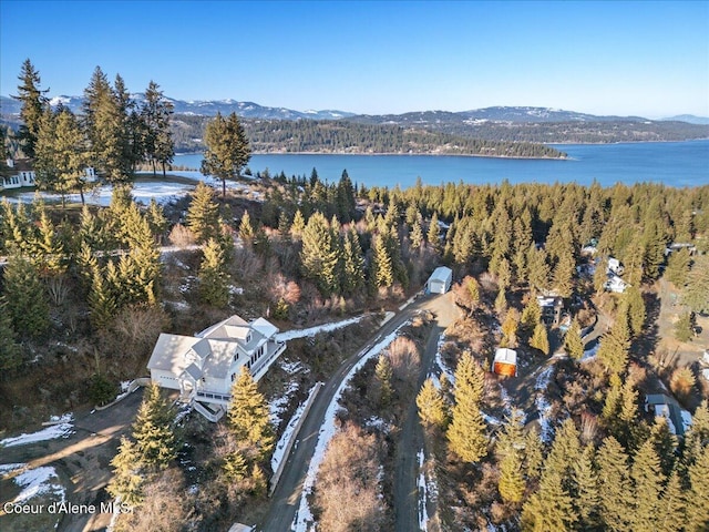 birds eye view of property featuring a water and mountain view