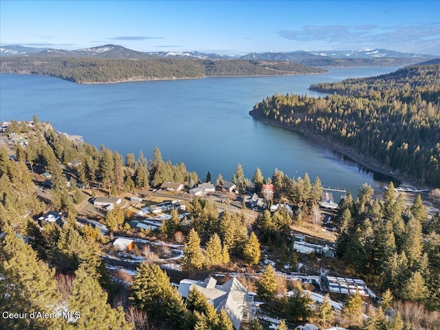 drone / aerial view with a water and mountain view