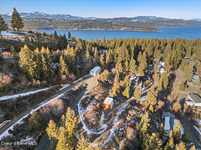 birds eye view of property with a water and mountain view