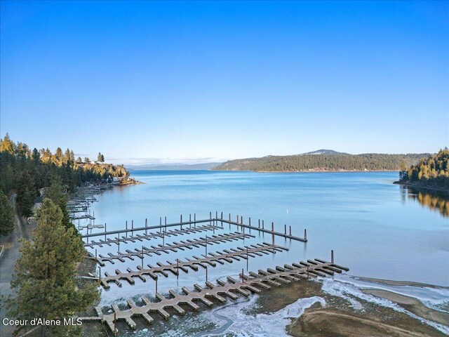 dock area with a water view