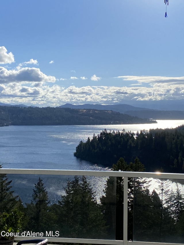 water view featuring a mountain view