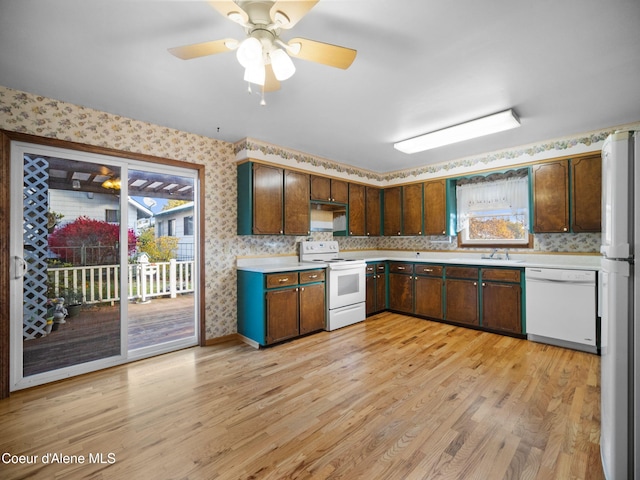 kitchen with white appliances, ceiling fan, light wood-type flooring, and sink