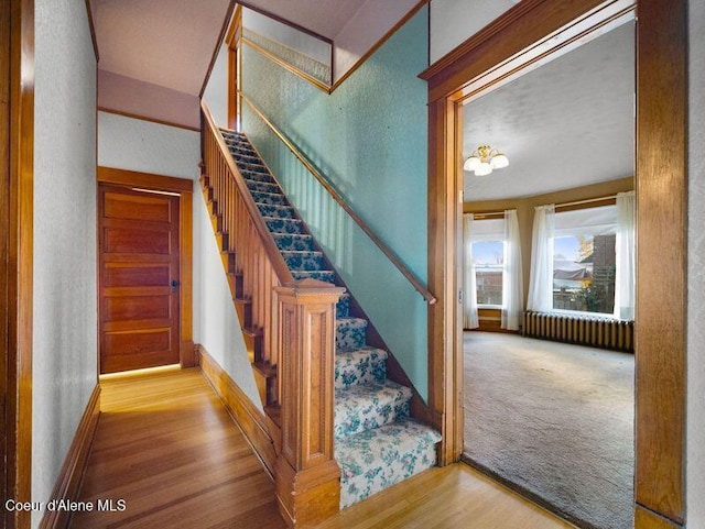 stairs featuring hardwood / wood-style floors and radiator