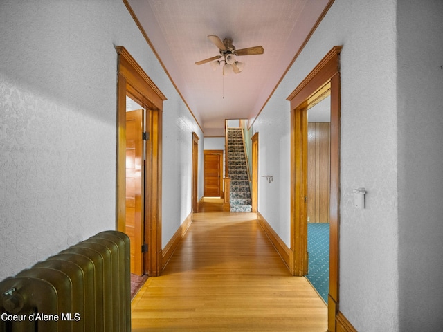 hallway featuring light hardwood / wood-style floors and crown molding