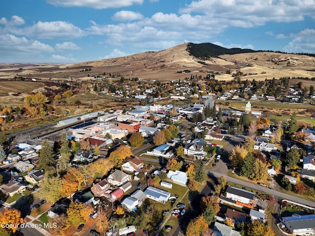 birds eye view of property featuring a mountain view