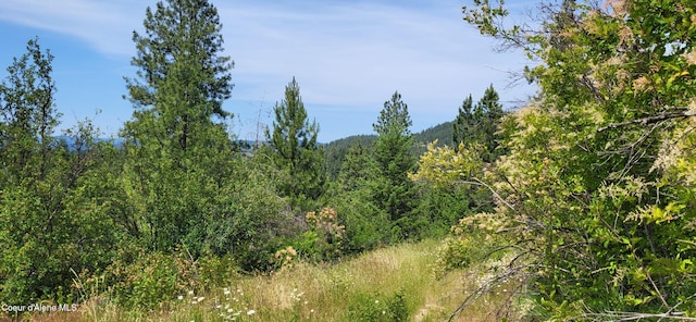 NNA E Van Dusen Rd, Harrison, ID 83833