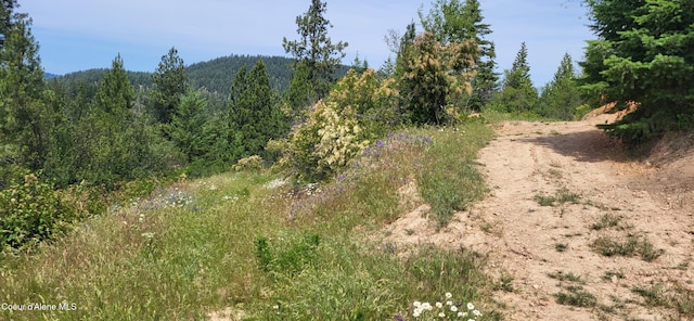 NNA E Van Dusen Rd, Harrison, ID 83833