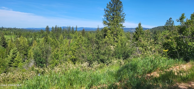NNA E Van Dusen Rd, Harrison, ID 83833