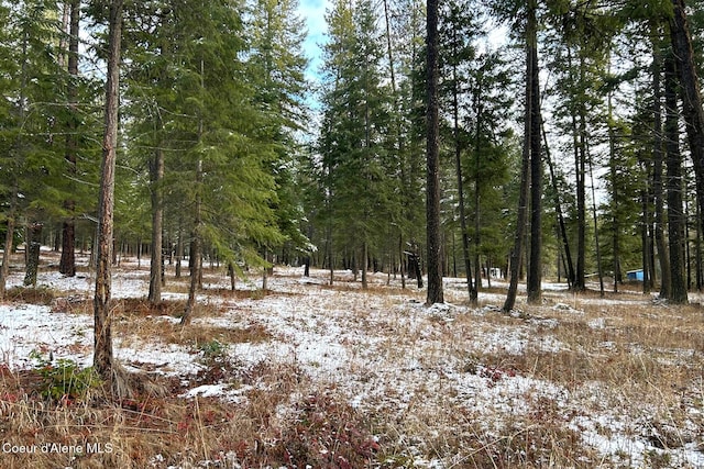 NKA Pleasants View Rd, Blanchard ID, 83804 land for sale