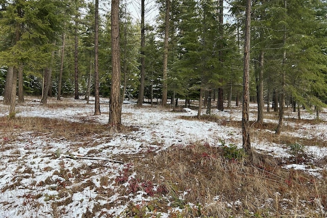 Listing photo 2 for NKA Pleasants View Rd, Blanchard ID 83804