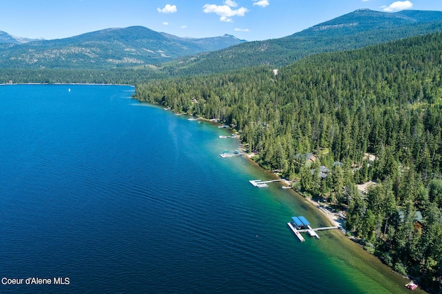 birds eye view of property featuring a water and mountain view