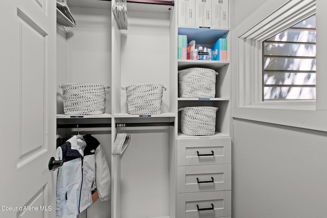 view of walk in closet